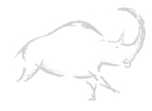 Illustration of an elephant